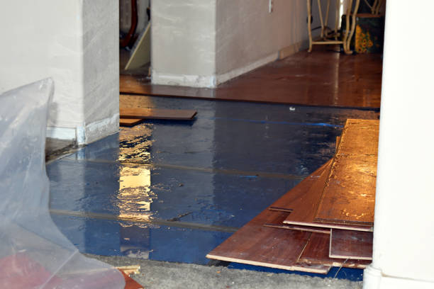Professional Water Damage Restoration technician working in Stanton, TX